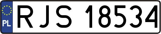 RJS18534
