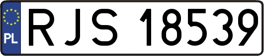 RJS18539
