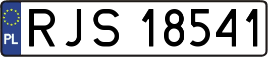 RJS18541