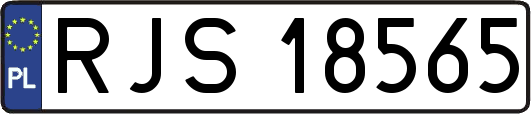 RJS18565