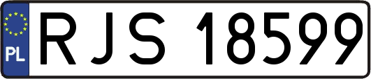 RJS18599