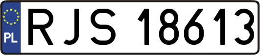 RJS18613