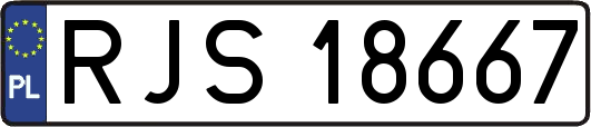 RJS18667
