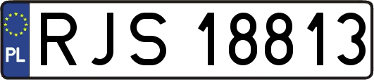 RJS18813