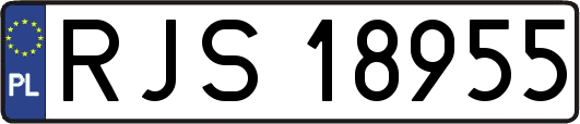 RJS18955