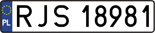 RJS18981
