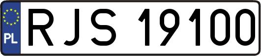 RJS19100