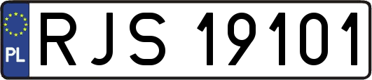 RJS19101