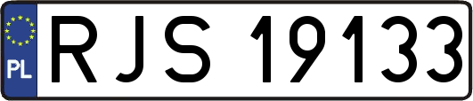 RJS19133