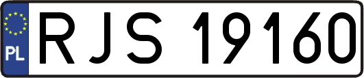 RJS19160