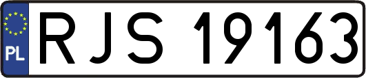 RJS19163