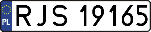 RJS19165