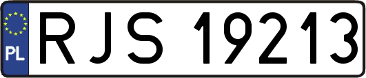 RJS19213
