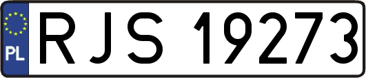 RJS19273