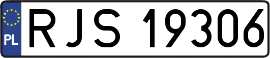 RJS19306