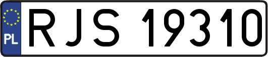 RJS19310