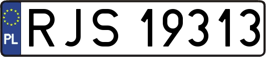 RJS19313