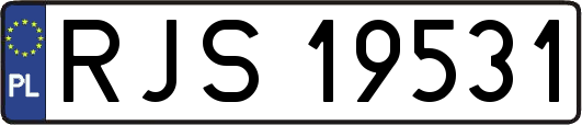 RJS19531