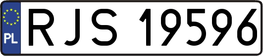 RJS19596