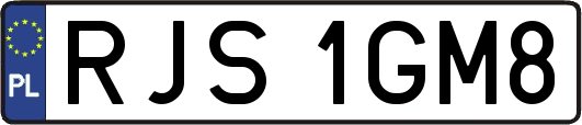 RJS1GM8