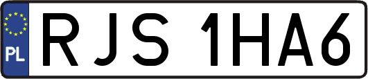 RJS1HA6