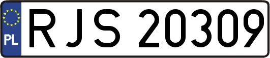 RJS20309