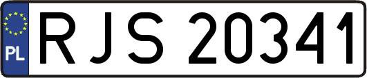 RJS20341