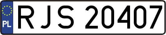 RJS20407