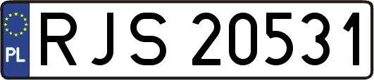 RJS20531
