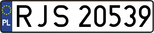 RJS20539