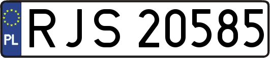 RJS20585