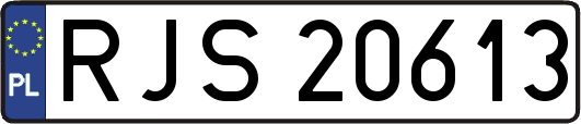 RJS20613