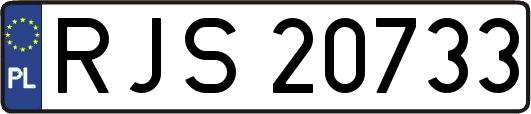 RJS20733