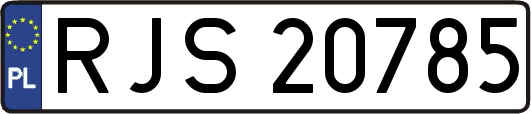 RJS20785