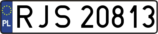 RJS20813