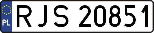 RJS20851