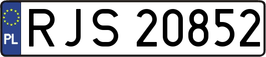 RJS20852