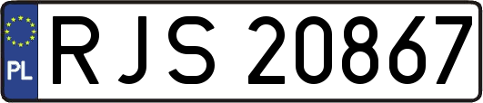 RJS20867