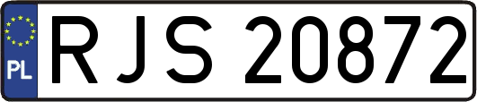 RJS20872