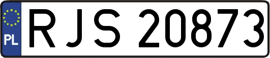 RJS20873