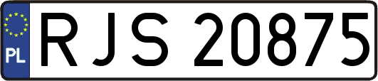 RJS20875