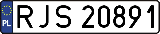 RJS20891