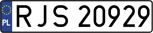 RJS20929