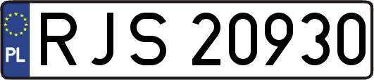 RJS20930