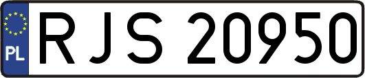 RJS20950
