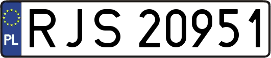 RJS20951