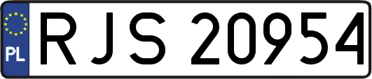 RJS20954