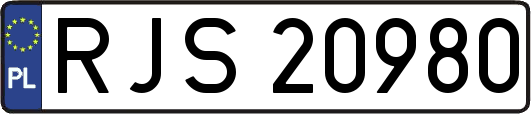 RJS20980