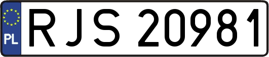 RJS20981