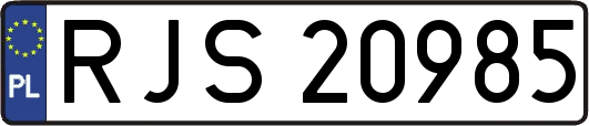 RJS20985